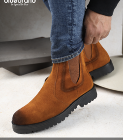 Boot SB 31 - Image 2